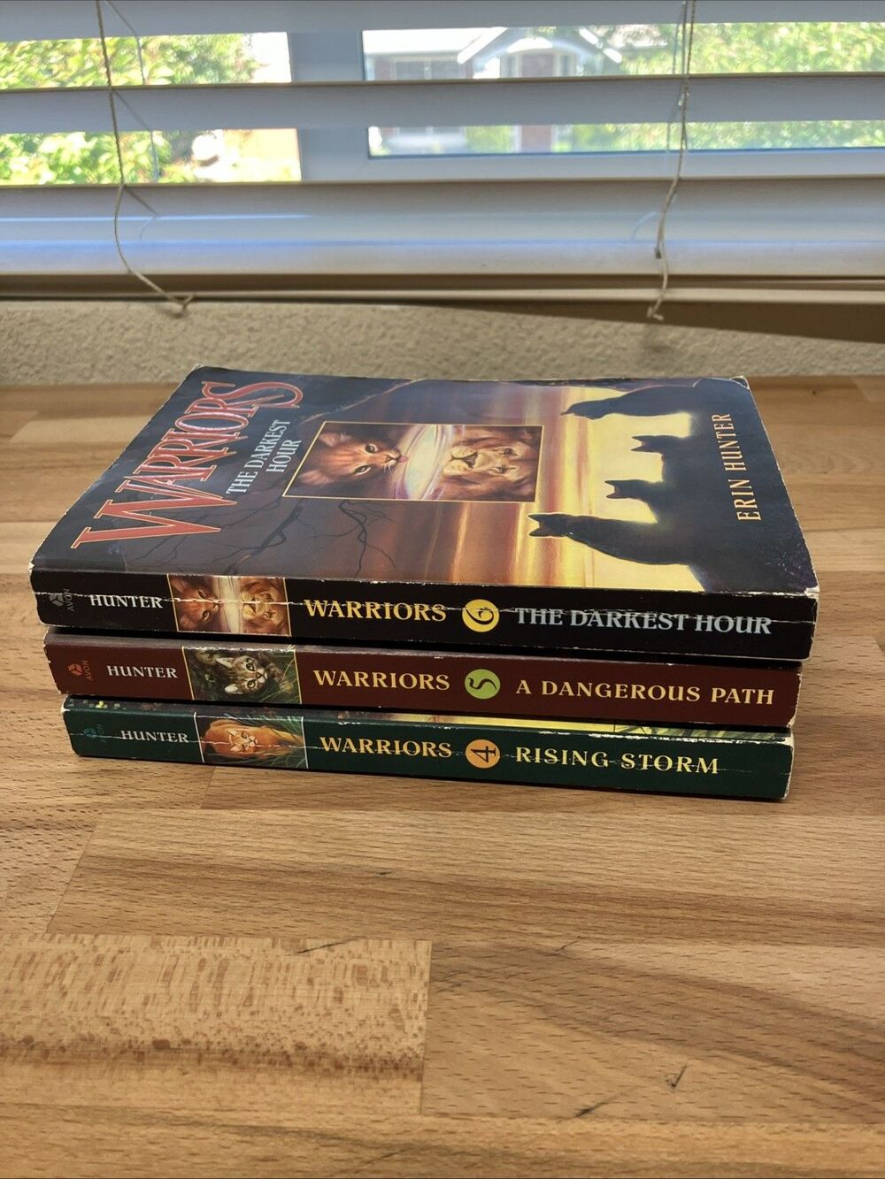 3 Warriors Books Lot Erin Hunter PB  (#4, 5, 6) Rising Storm Dangerous Darkest